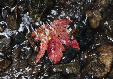 水質在線監測常見的水污染指標有哪些? 水質在線監測常見的水污染指標有哪些?